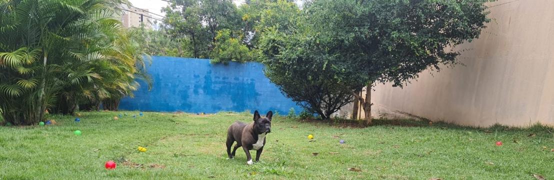 MargotRenata e Helios 