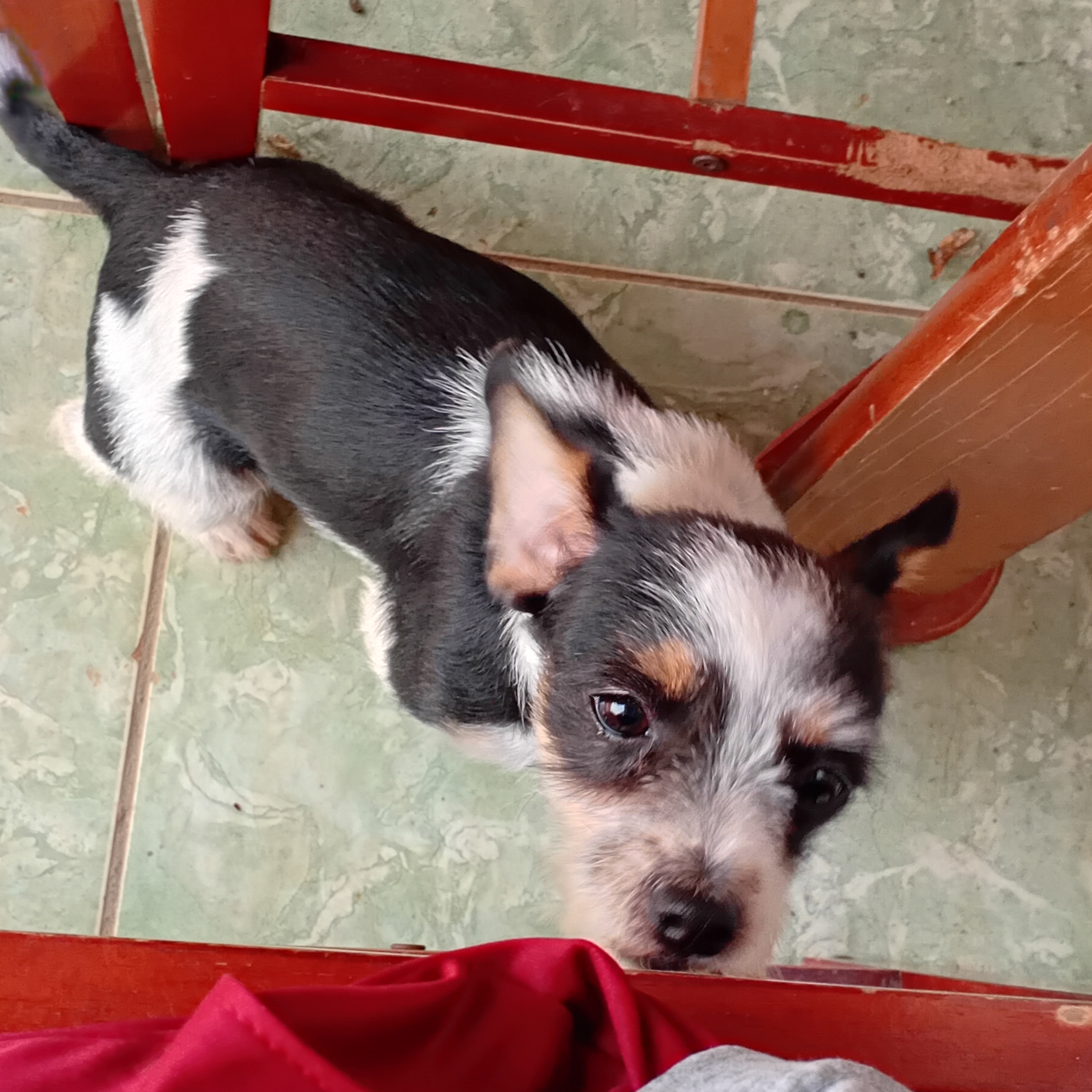 -Dory Katty Fernandes de Sousa  M&aacute;rio Fernandes 