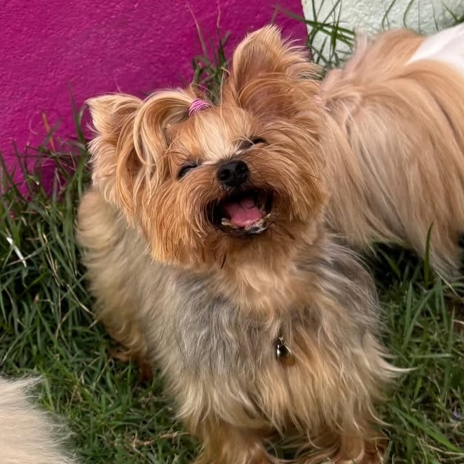 -Malu Uch&ocirc;a  Ma&iacute;ra Uch&ocirc;a 