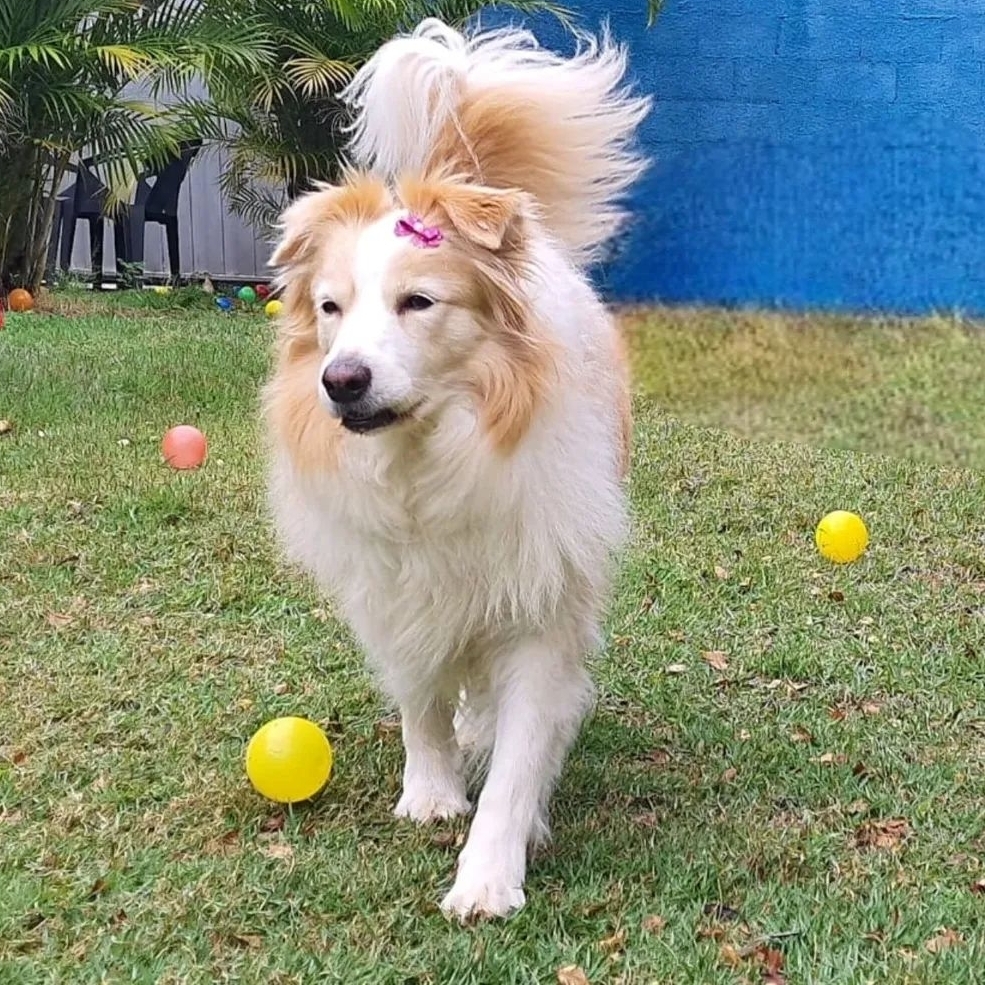 Stella  Maria Jos&eacute; e Samuel 