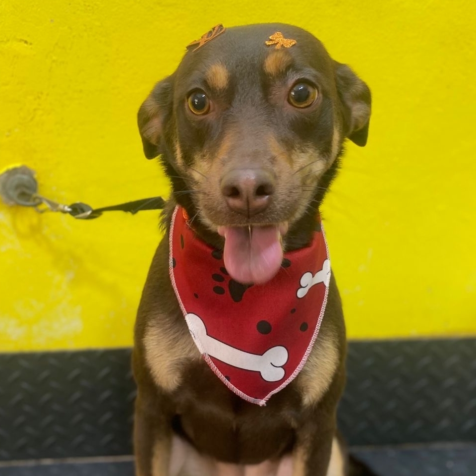 Fel&iacute;cia Tamiris Aguiar