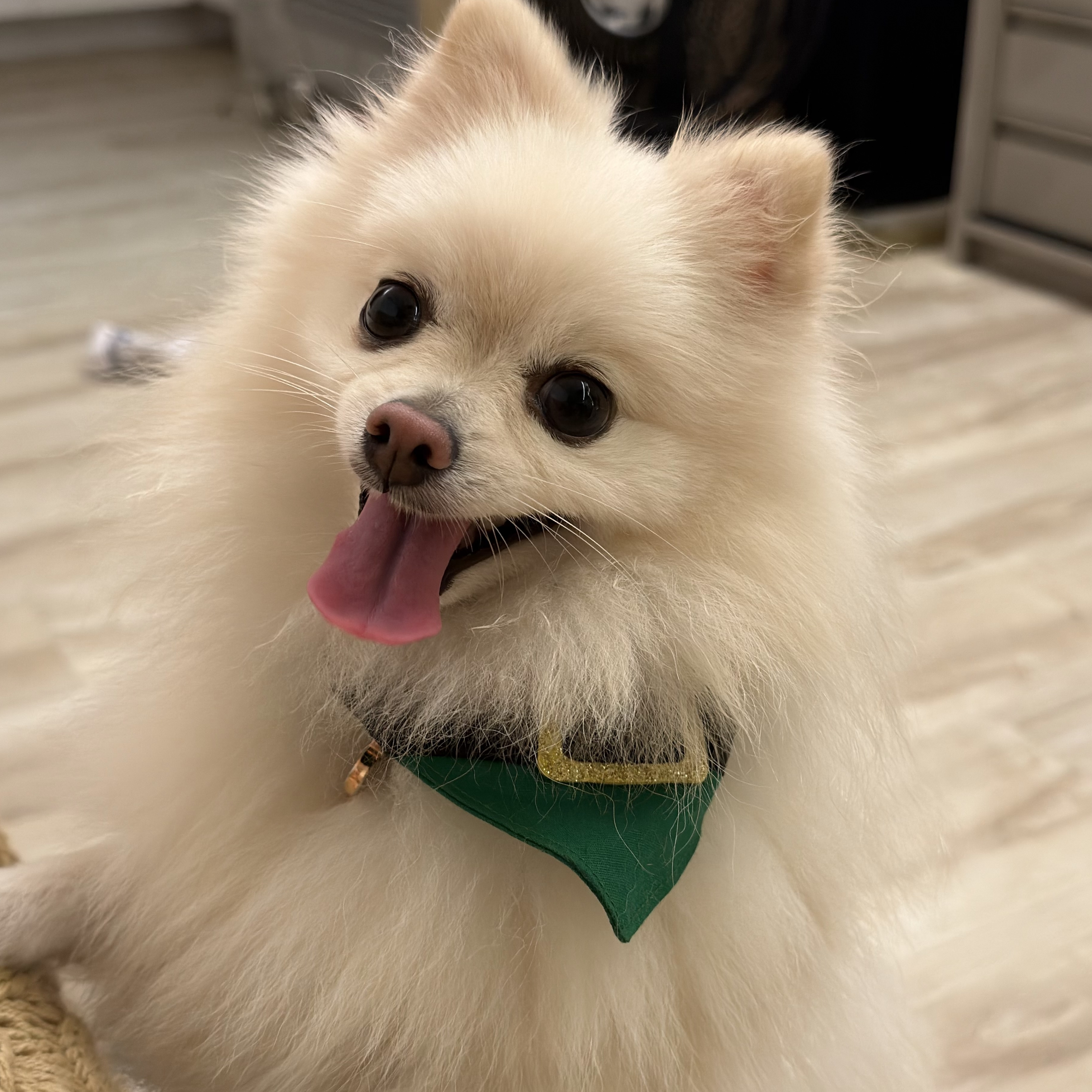 Love  Ana Patr&iacute;cia ou Pedro Victor 