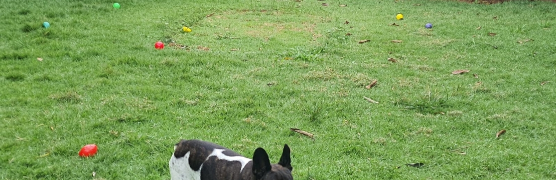 MaluRenata e H&eacute;lios