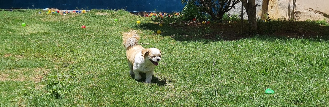 BetoClareane e S&eacute;rgio 