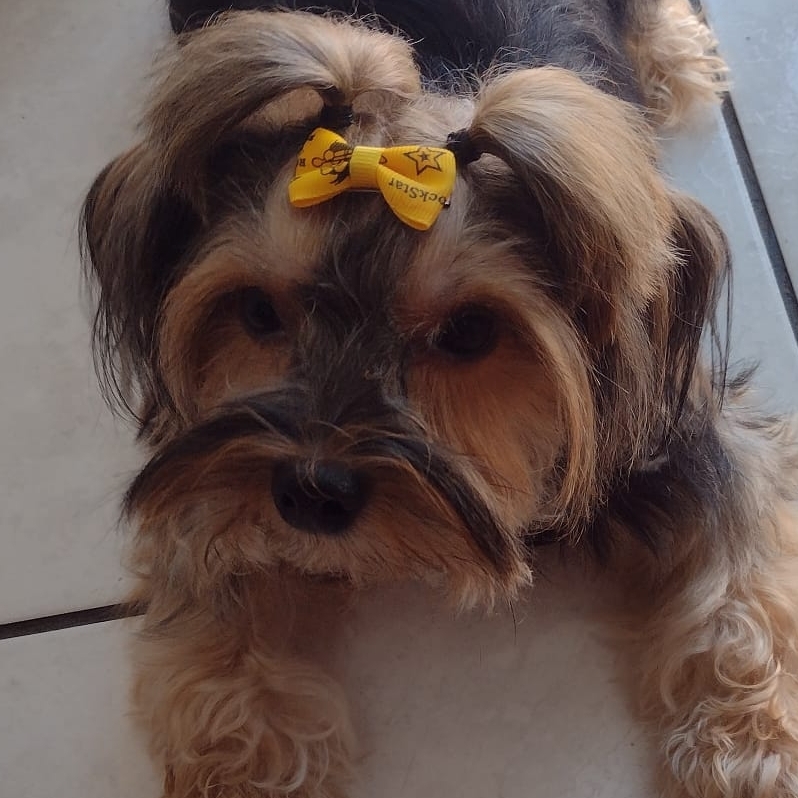 -Princesa Ra&iacute;ssa Salla 