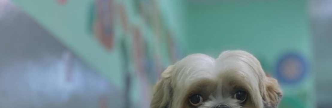 -ChilliIngrid e Matheus 