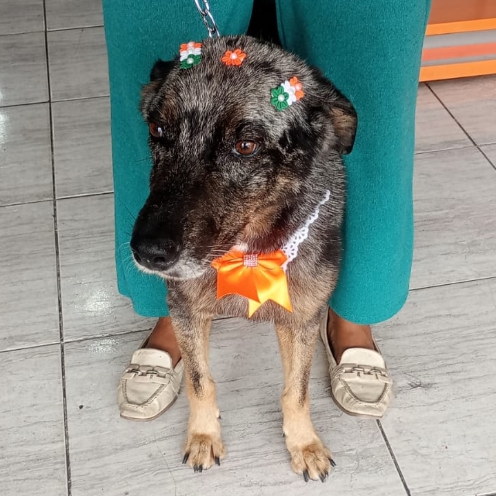 -Vitoria Viviane  Adriano Almeida 