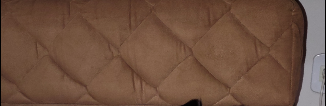 Lola Araujo BorgesLarissa Araujo / Nicollas Borges