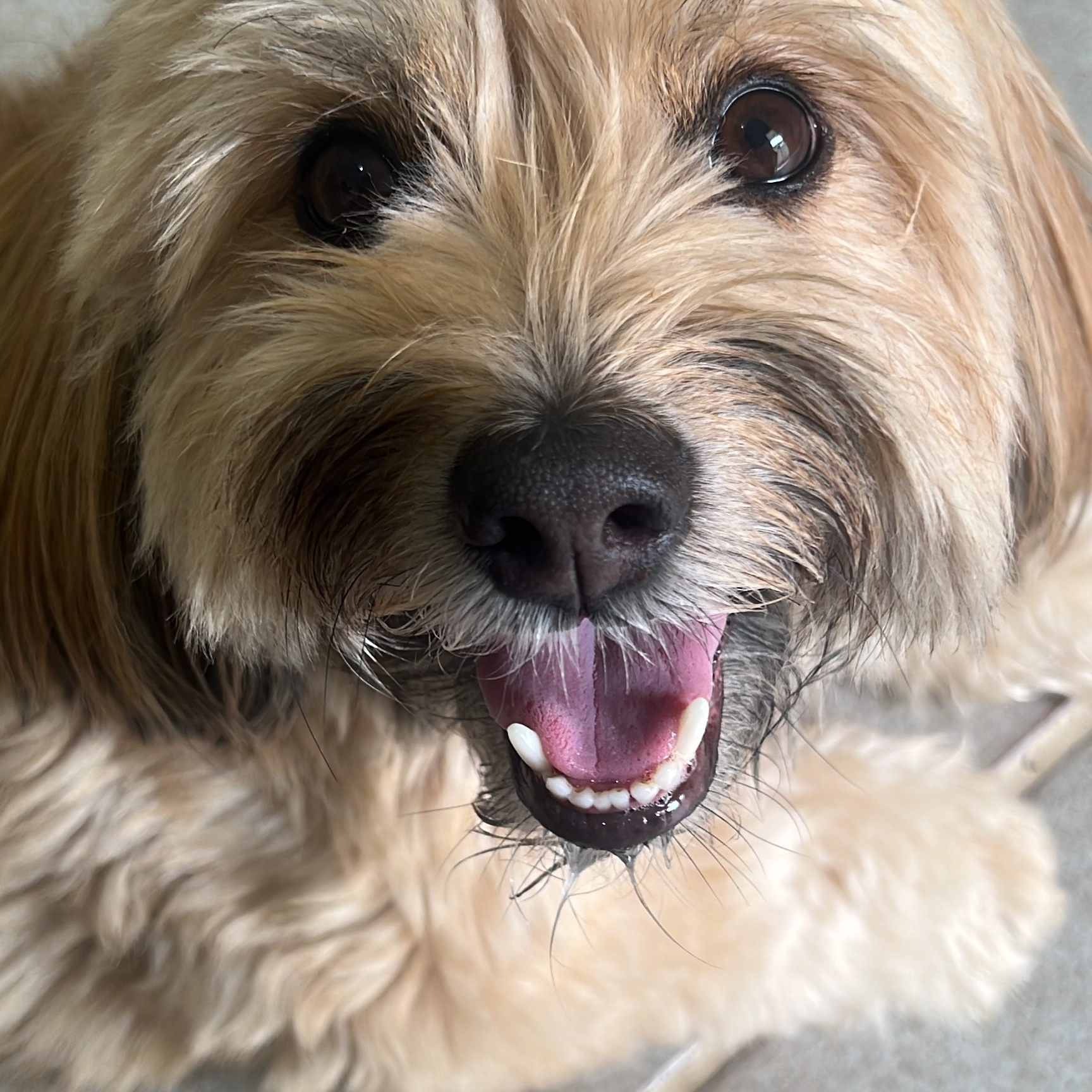 -luck Francisco da Silva  Rebeca Silva 