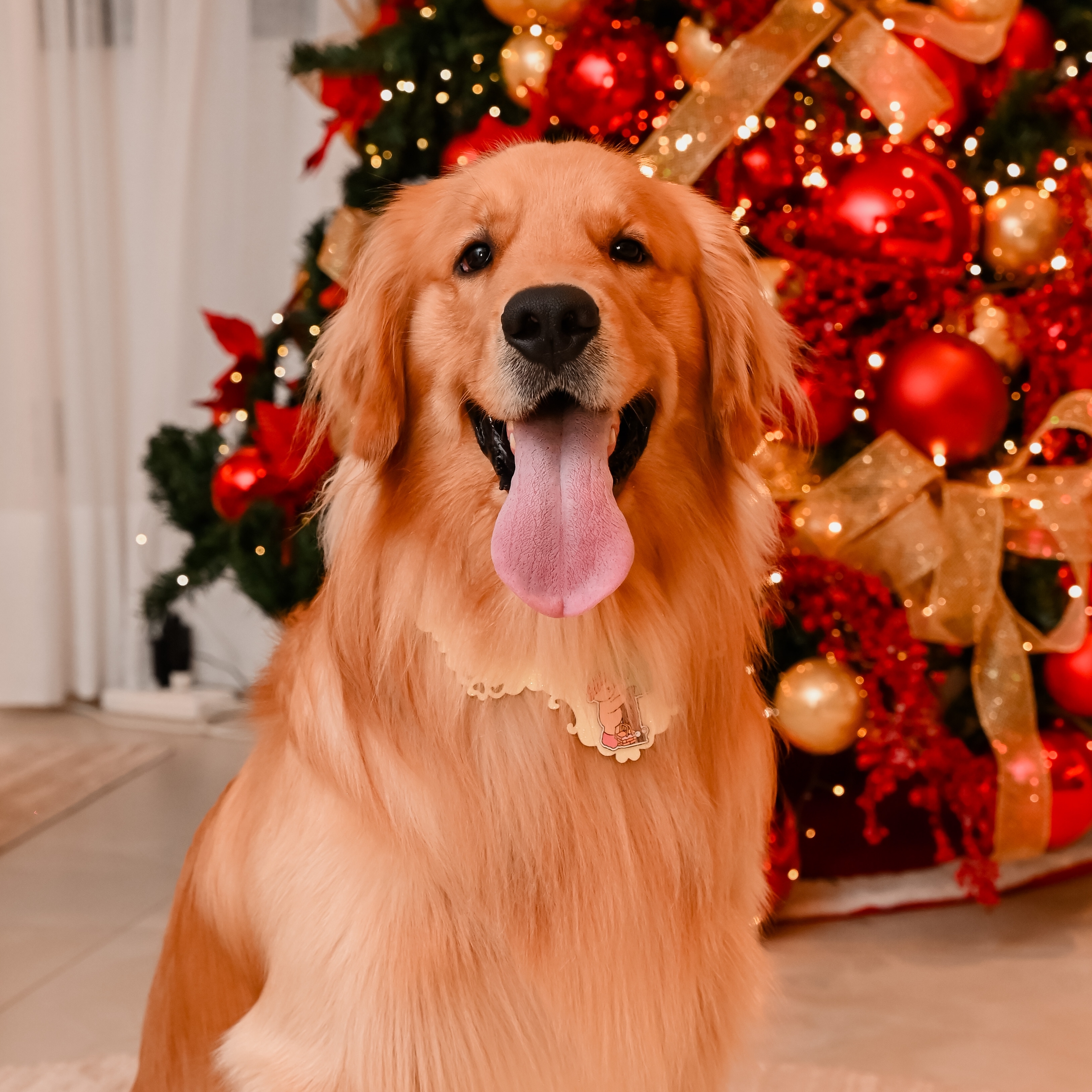 Luke Kassia e Robson