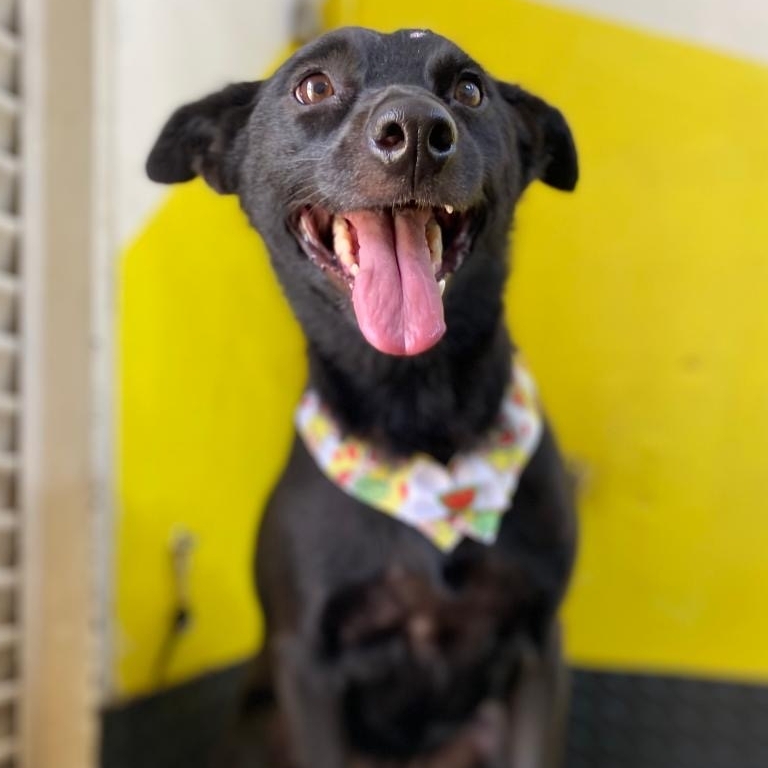 Ol&iacute;via Tulipa de Aguiar Tamiris Aguiar