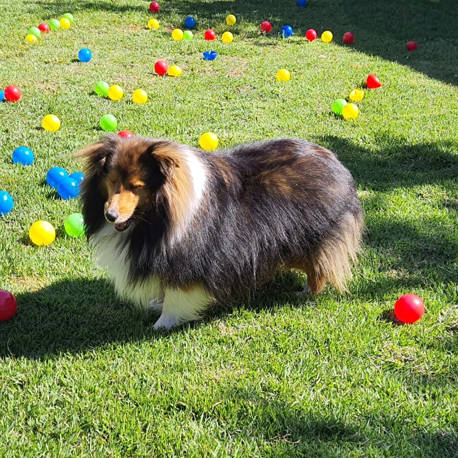 Duda F&aacute;bio e Rafaela 