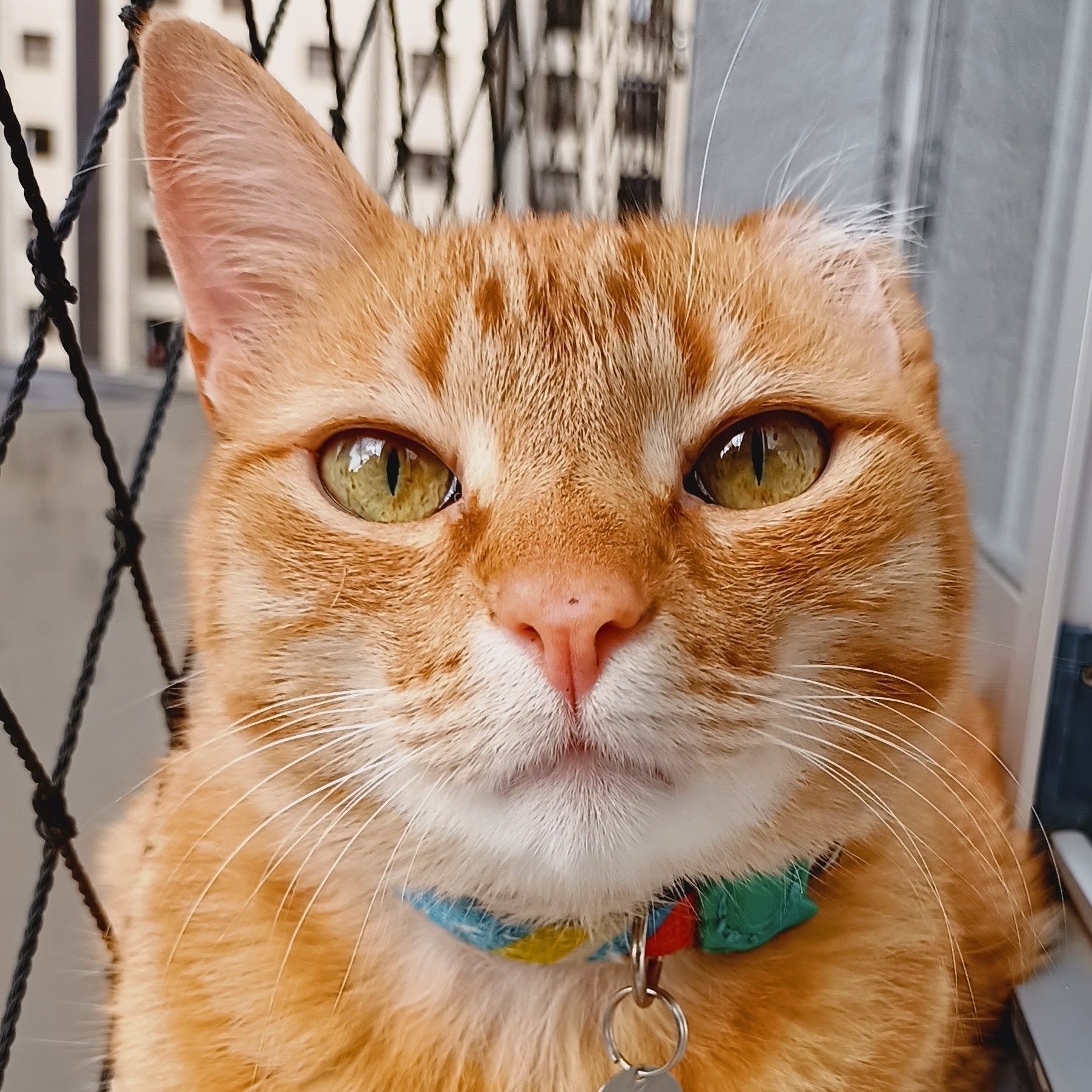 Tunico Nathalia Pimenta 