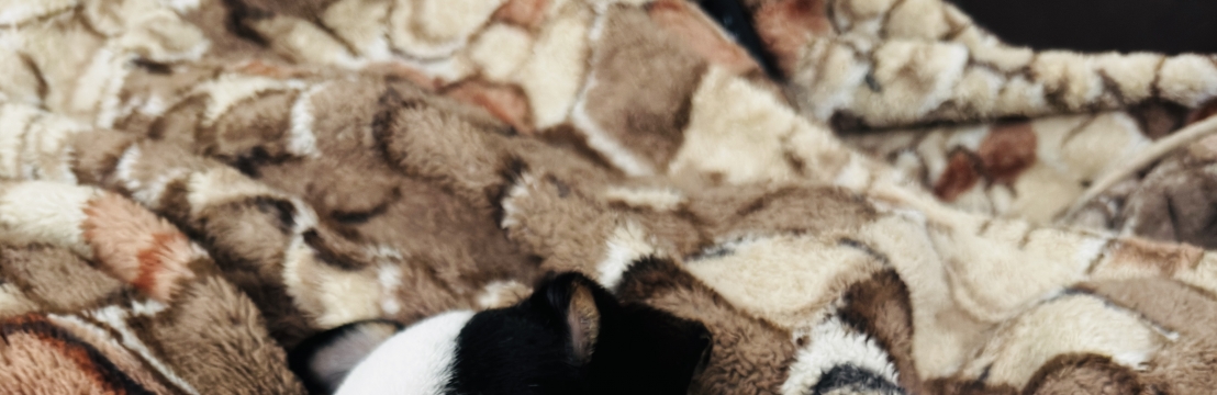 Benjamin Bianca Turella 