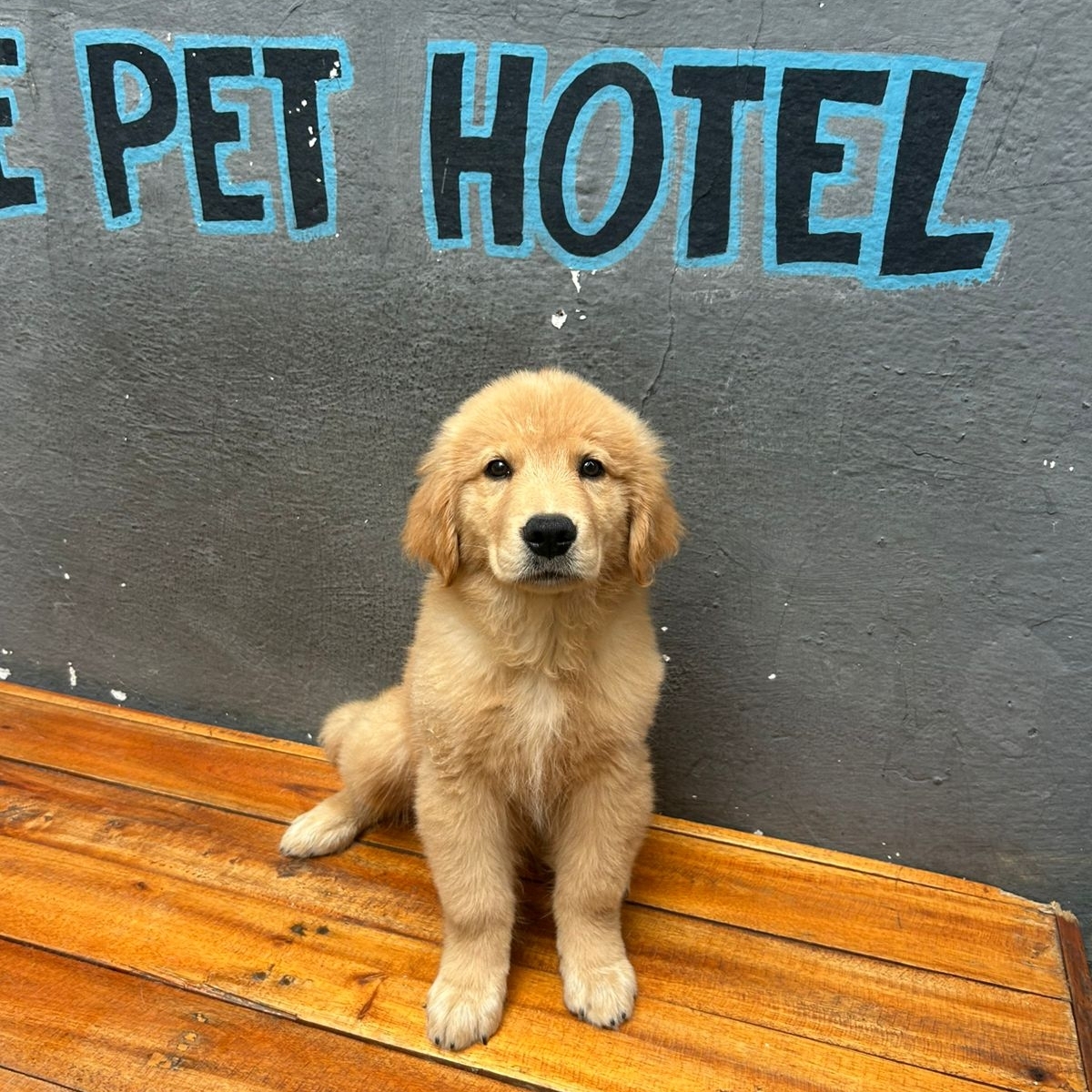 Mel leticia-ferrecaetano@hotmail.com