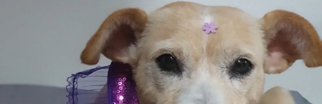 FranciscaKatia e Caio