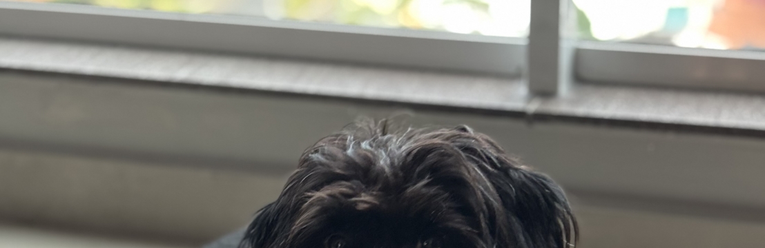 Feij&atilde;oTha&iacute;se 