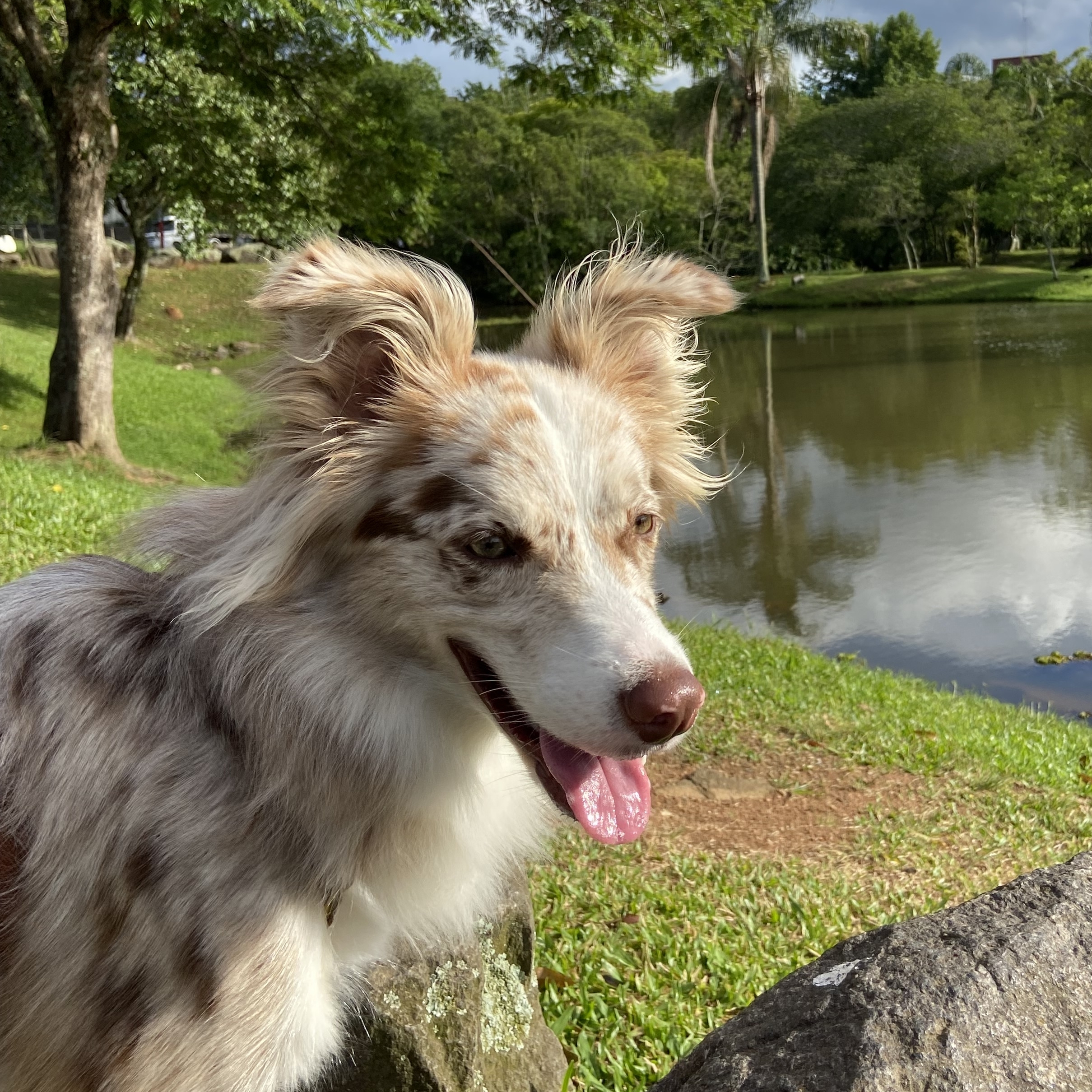 Luna Ribeiro Fernanda Fernandes Ribeiro