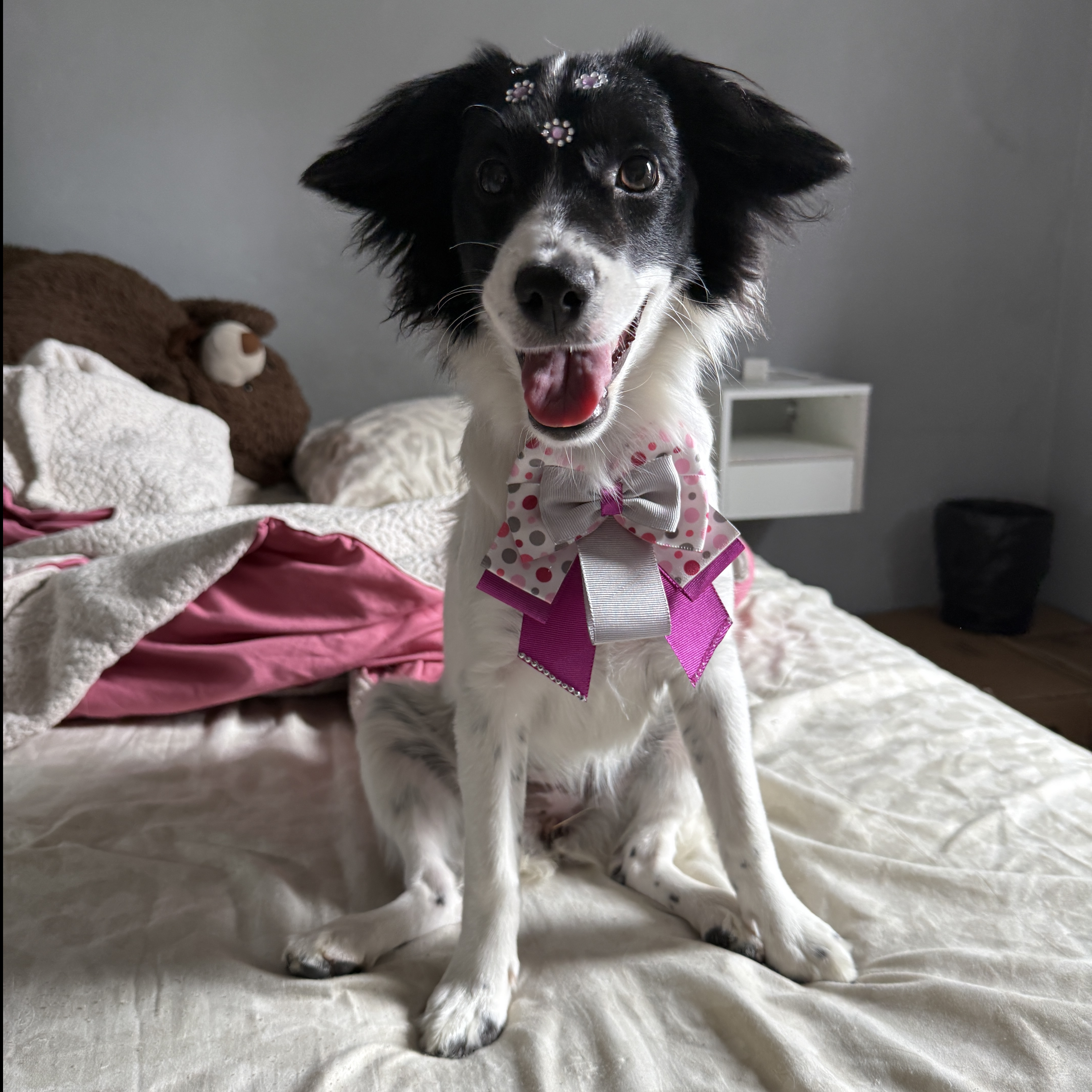 Konan Victoria Mascarenhas