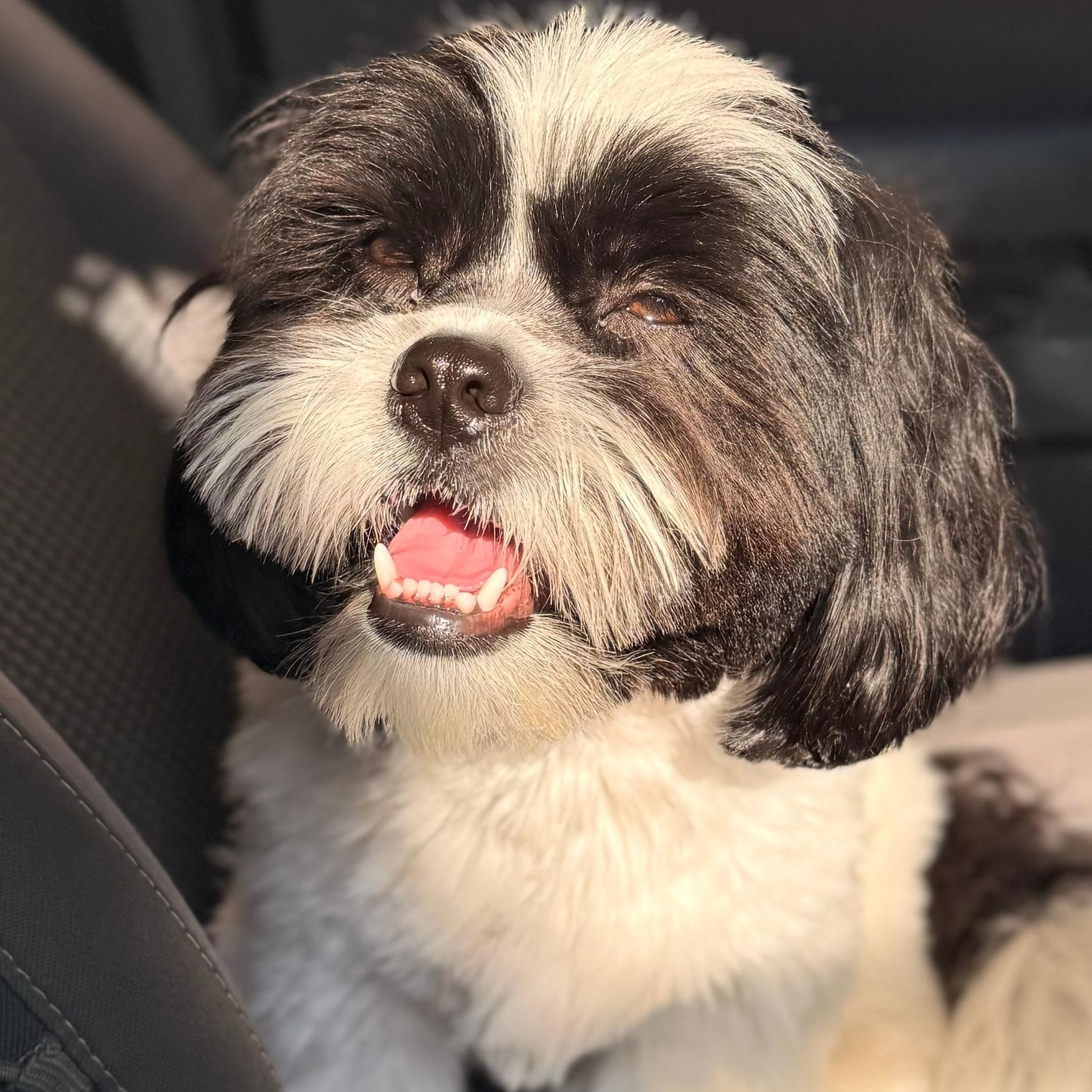 Billy Karina Oliveira 