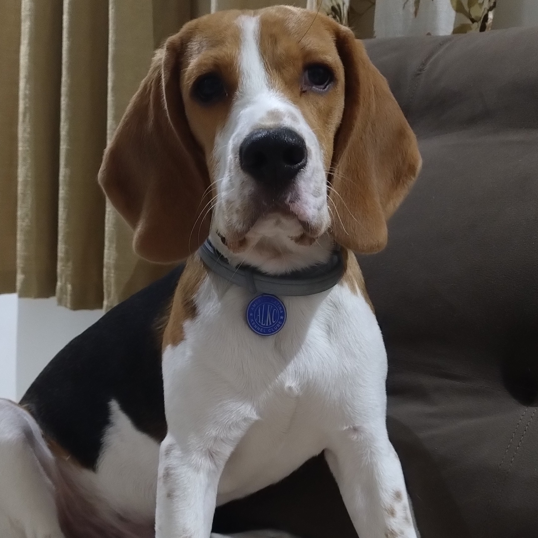 -Amarula Ingrid e Matheus 