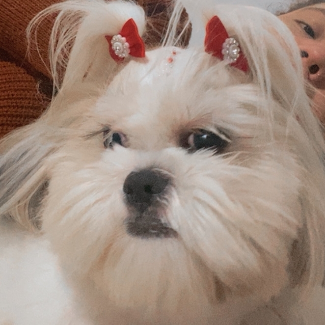 Nina  Eduarda Santos de trevas