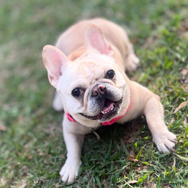 Margoth Kelly Aguiar