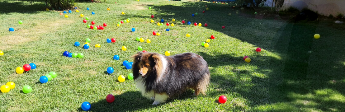 DudaF&aacute;bio e Rafaela 