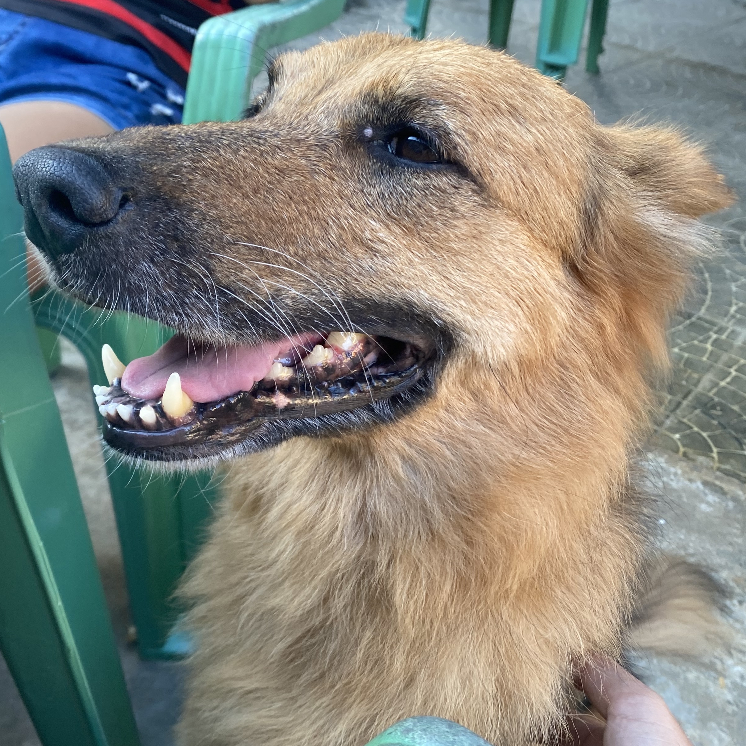 -Bruce Wayne Saymon Ramone Sales do Nascimento 