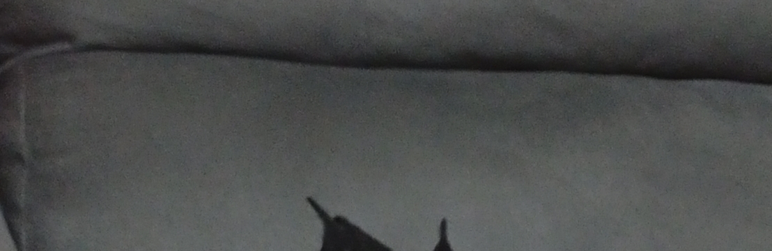 Clebinho Silva Santos Gabrielly Dos Reis Santos/ Oct&aacute;vio Vinicius da Silva 