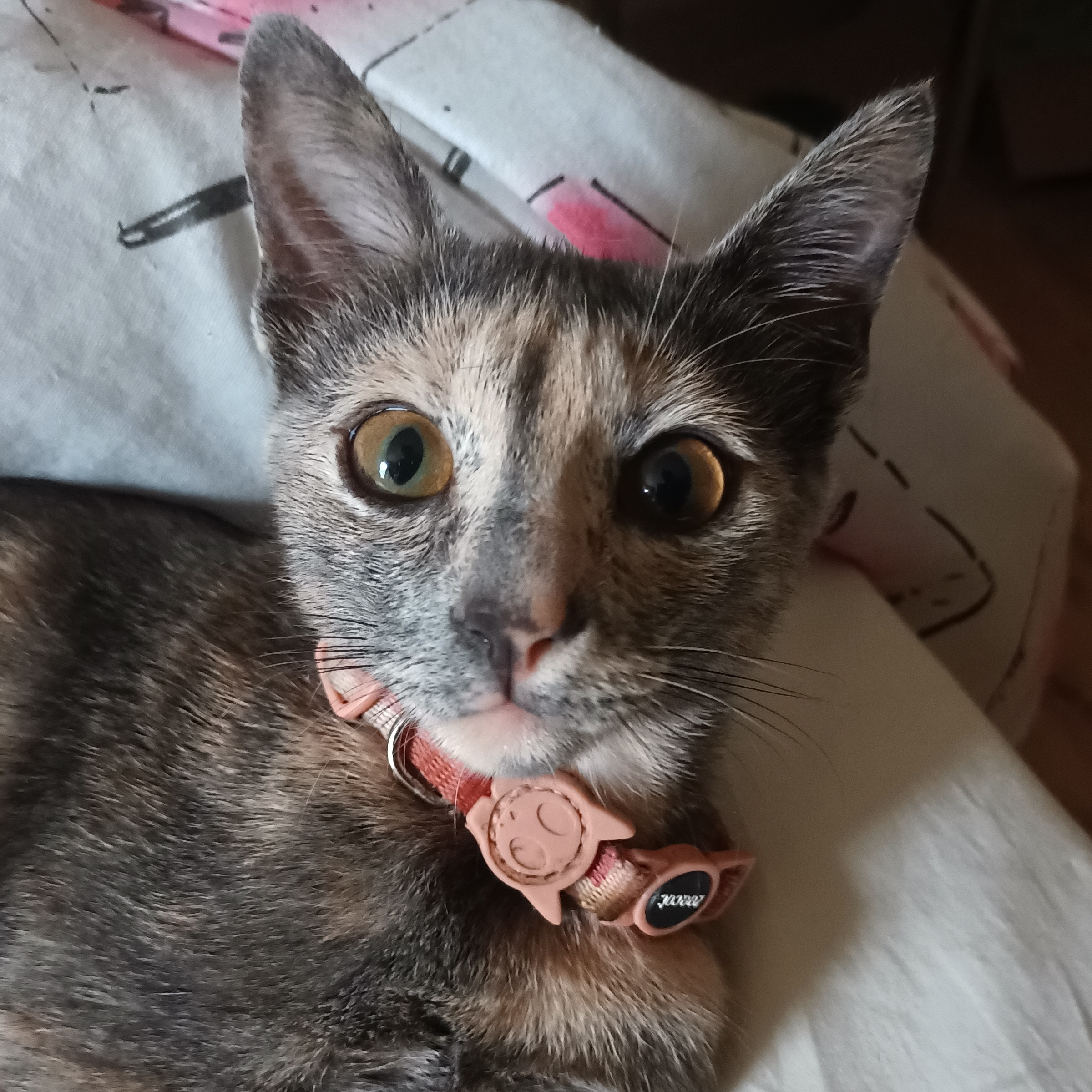 Penny Nathalia Pimenta 