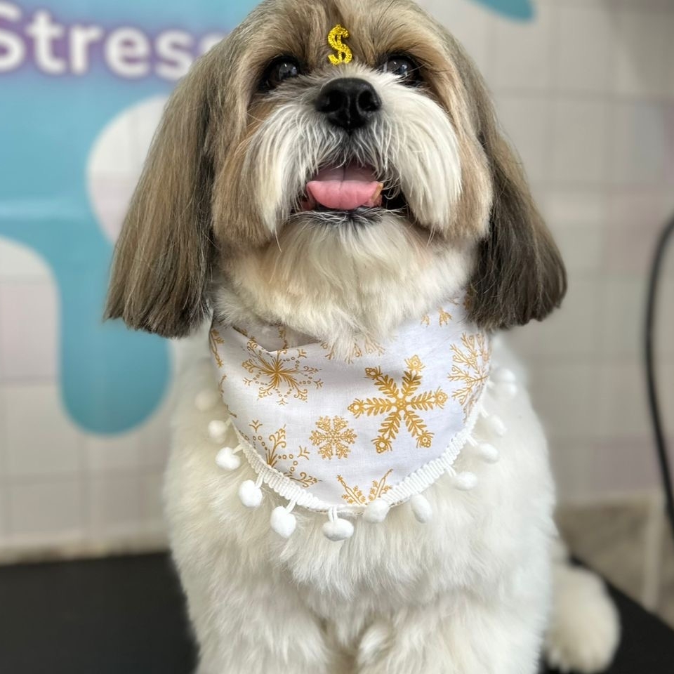 Thor Garcia - Thedy garcia