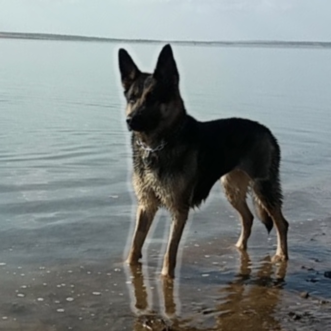 -Meg  Jo&atilde;o V&iacute;tor Oliveira 