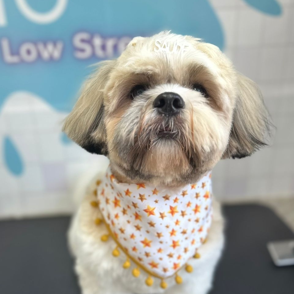 Nino Juliane Hends de Medeiros