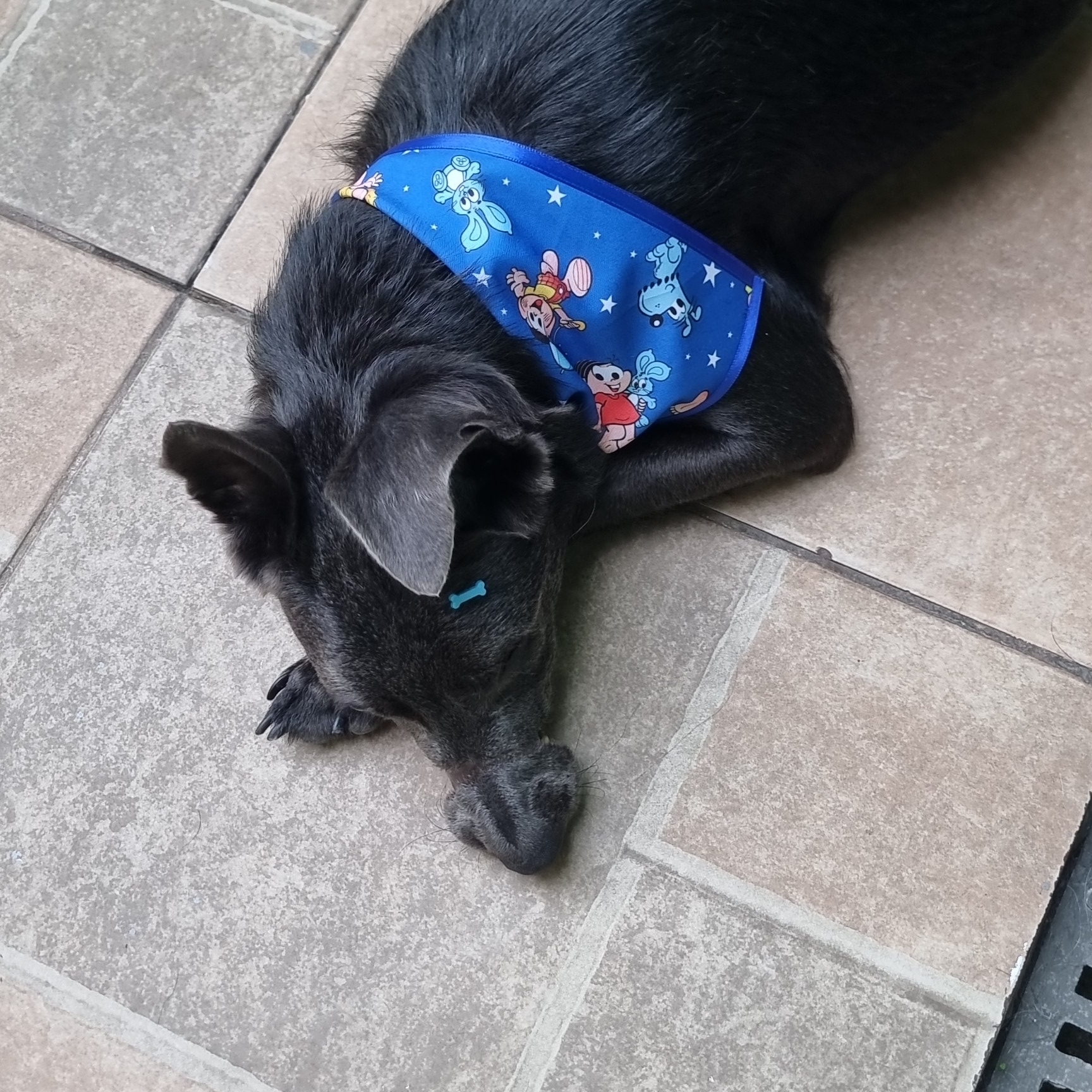 Guerreiro Caio e katia 