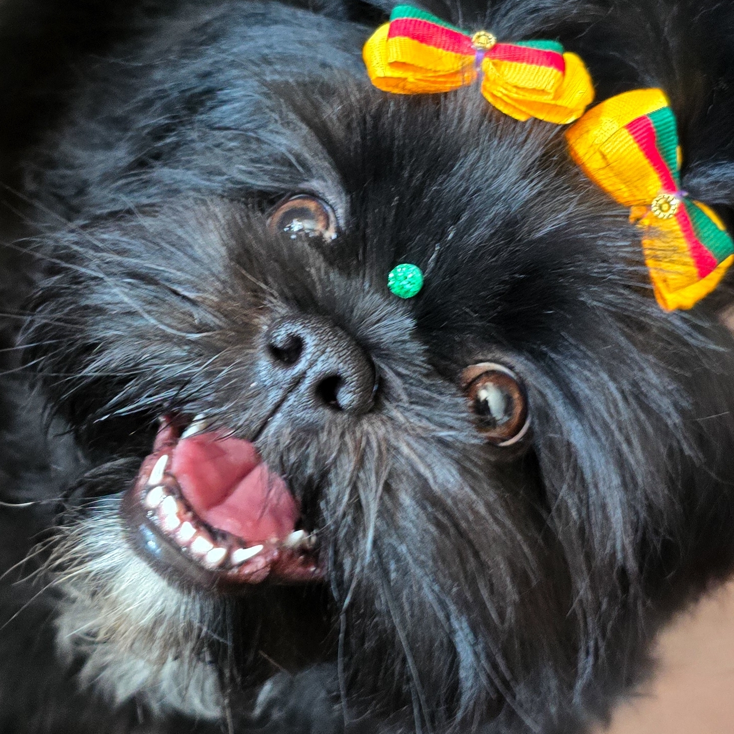 Nanquim Catherine Rosa