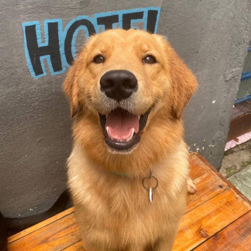 Coca-cola Aline e Paula