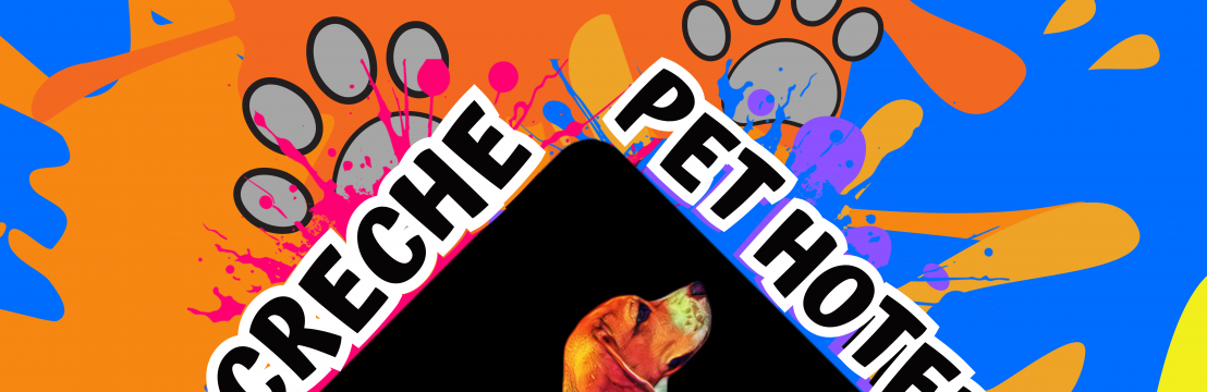 CacauMarcela Pingituro Lapa 