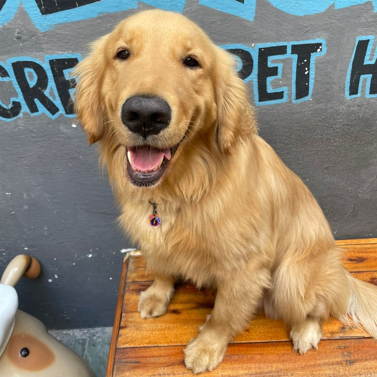Guaran&aacute; Paula e Aline