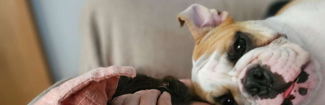 Liz Pa&ccedil;ocaCaroline Spezzotti