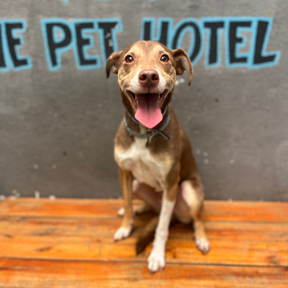 Raio Luana M A S Vasconcelos