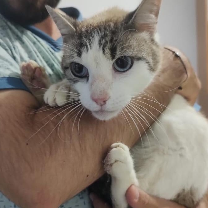 Princesa  Jennifer Nycole e Pedro Henrique 