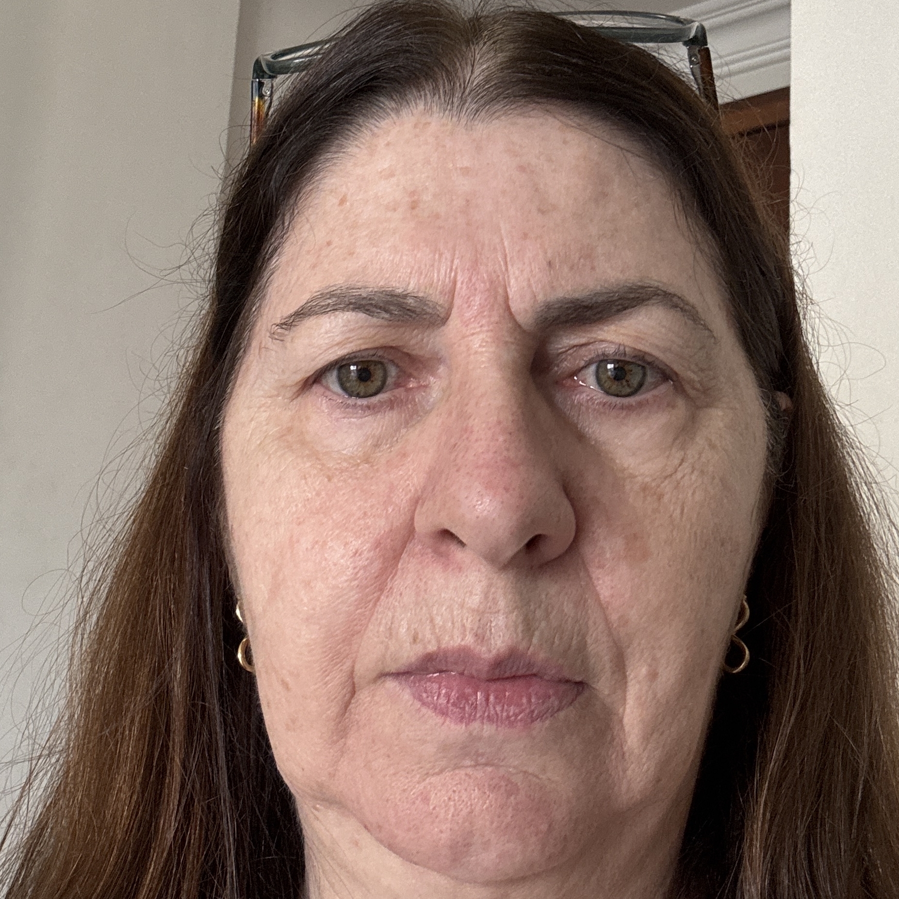 -Blond Zeus Jorge  Celize Aparecida Esteves Jorge 