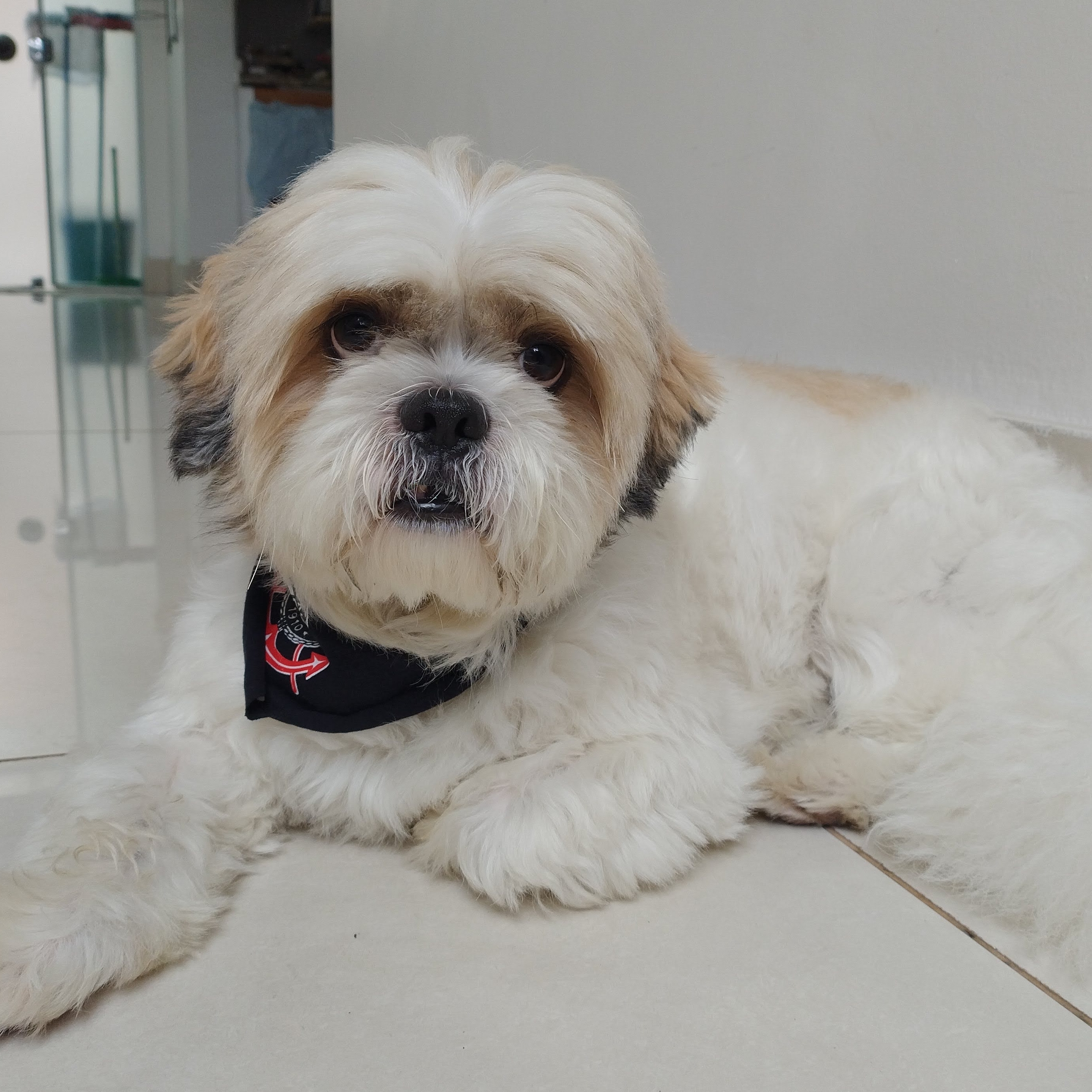 -Chilli Ingrid leite de farias 