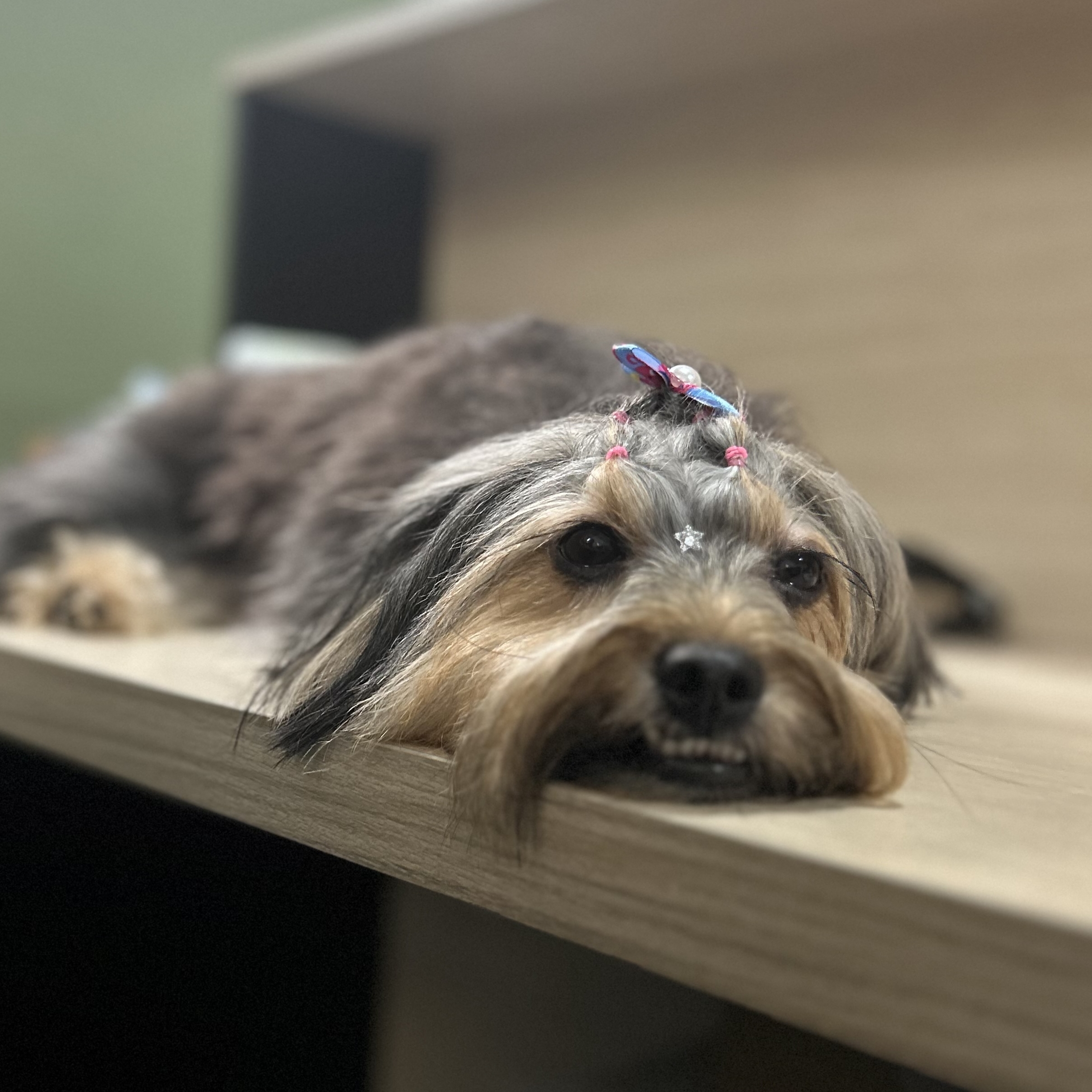 Mel Braga Oliveira  Leilane Isabel Braga de Matos 