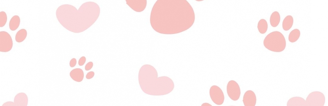 Bebel Karolline e Fl&aacute;vio 