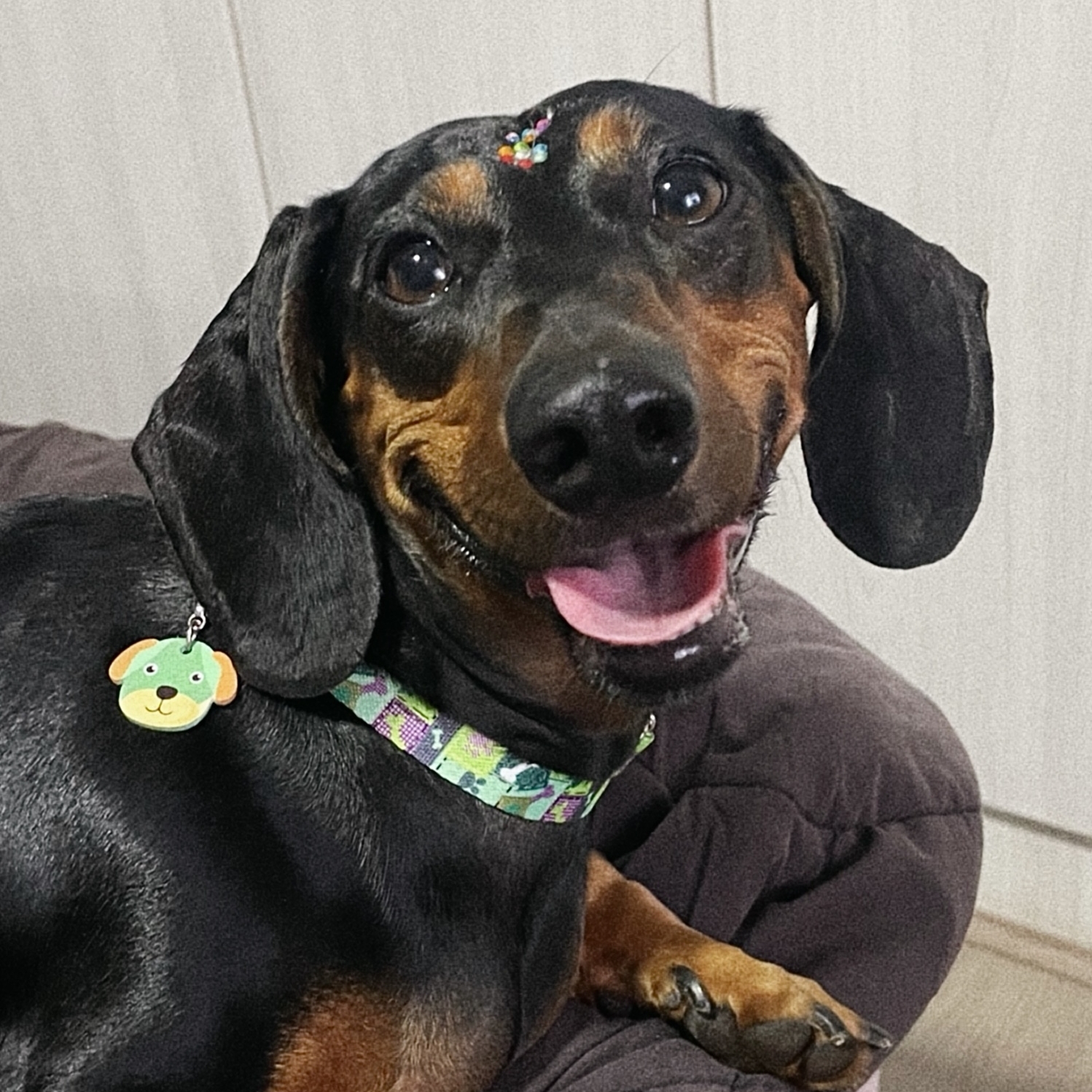 Lady kate  Bruna Ribeiro 