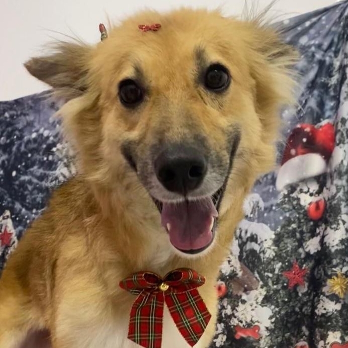 Neguinha Kettryn e Emanuel 