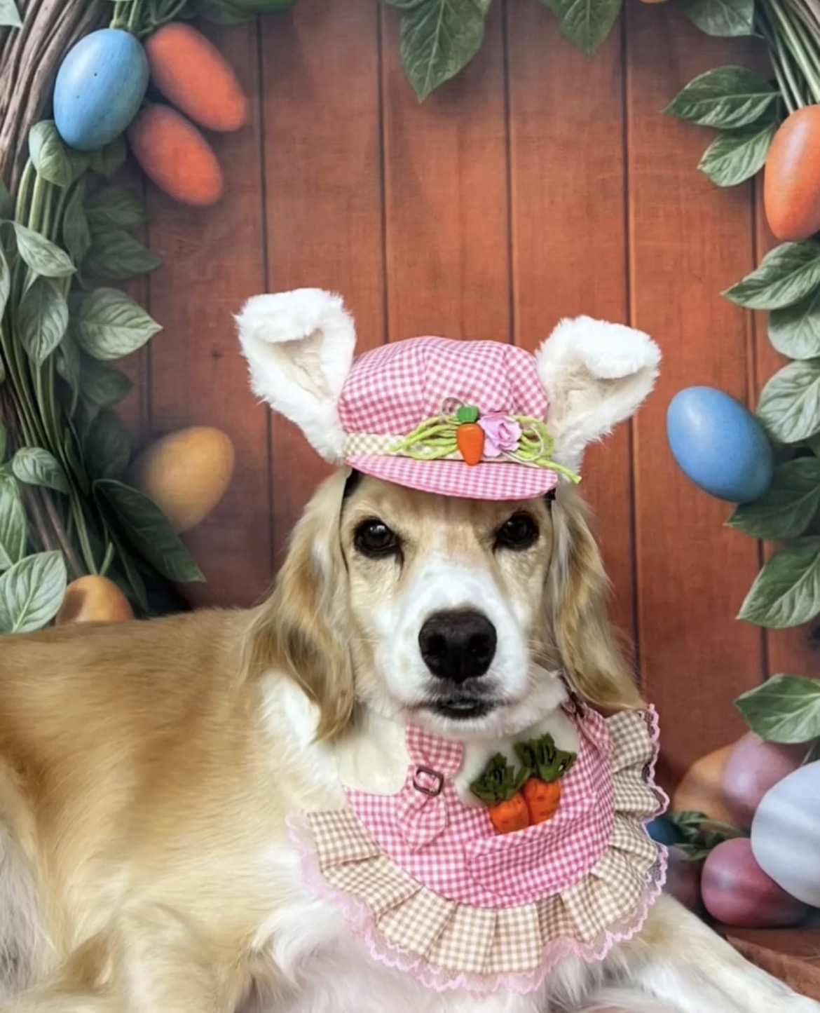 Lua  Camila e Stephanie 