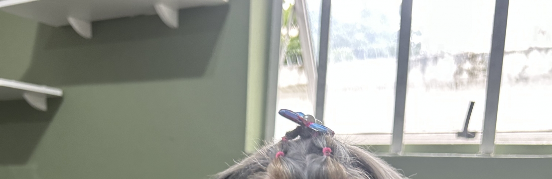 Mel Braga Oliveira Leilane Isabel Braga de Matos 